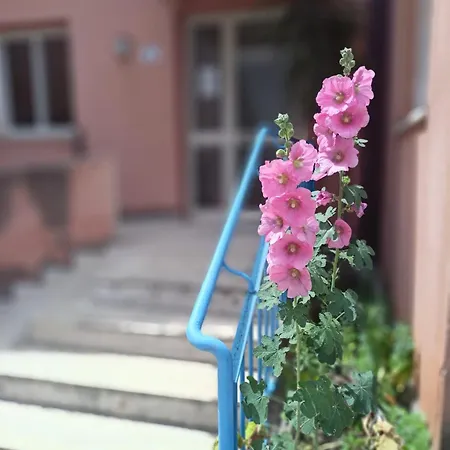 Appartement Casa Azzurra *